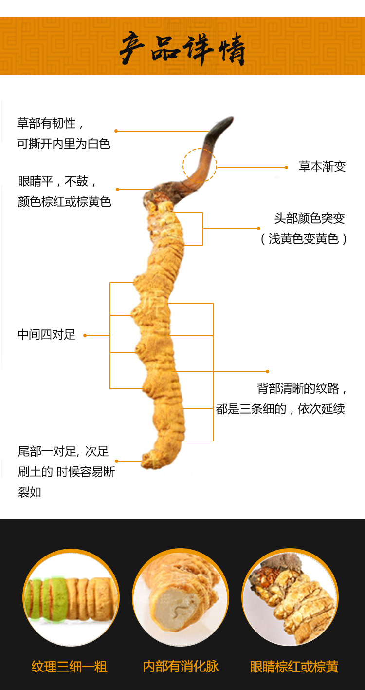 冬蟲夏草-詳情頁2_04.jpg