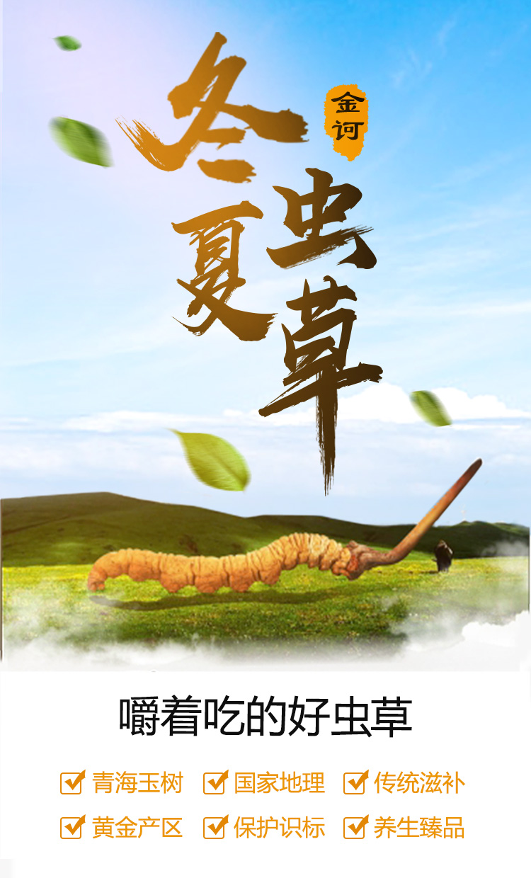 冬蟲夏草-詳情頁2_01.jpg